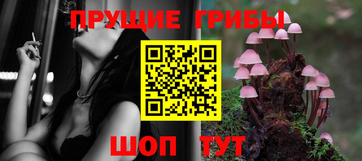 Канабис  Меф   Москва  МДМА  ТГК  Где купить наркотики?  ГАШ  Вход с VPN 